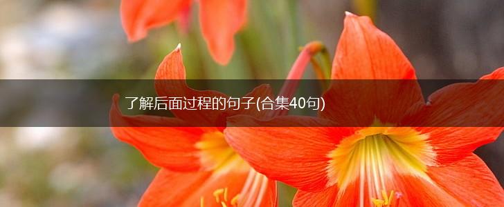 了解后面过程的句子(合集40句),第1张