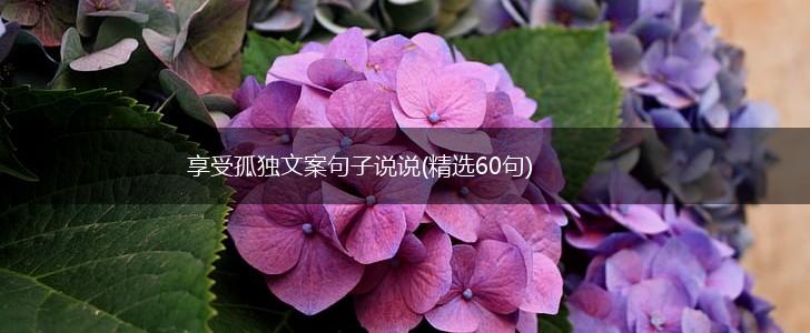 享受孤独文案句子说说(精选60句),第1张