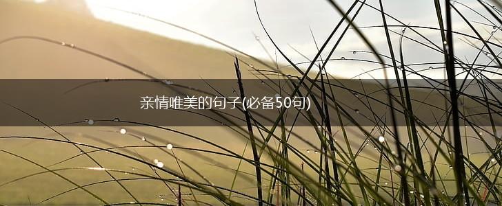 亲情唯美的句子(必备50句),第1张