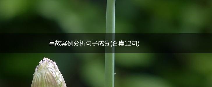 事故案例分析句子成分(合集12句),第1张