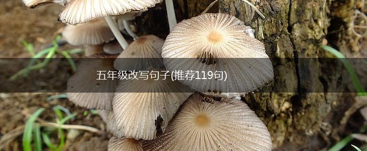 五年级改写句子(推荐119句),第1张