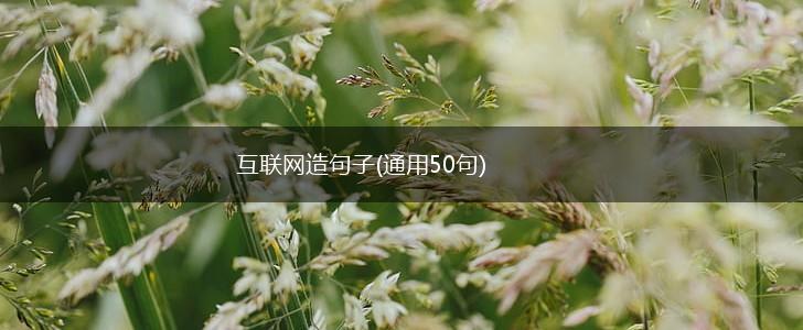 互联网造句子(通用50句),第1张