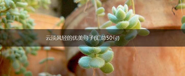 云淡风轻的优美句子(汇总50句),第1张
