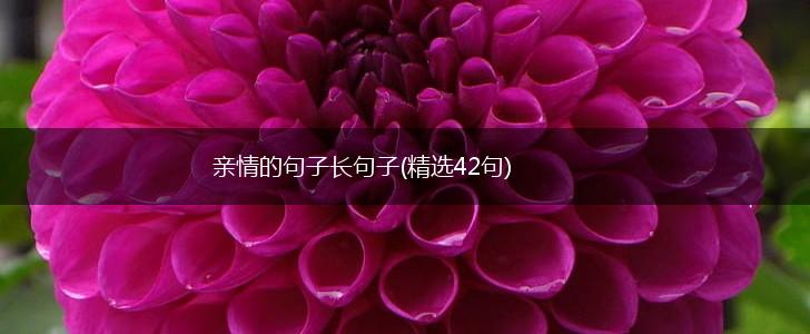 亲情的句子长句子(精选42句),第1张