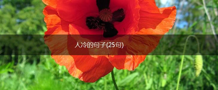人冷的句子(25句),第1张