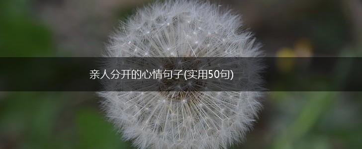 亲人分开的心情句子(实用50句),第1张