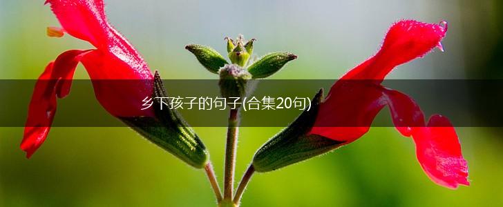乡下孩子的句子(合集20句),第1张