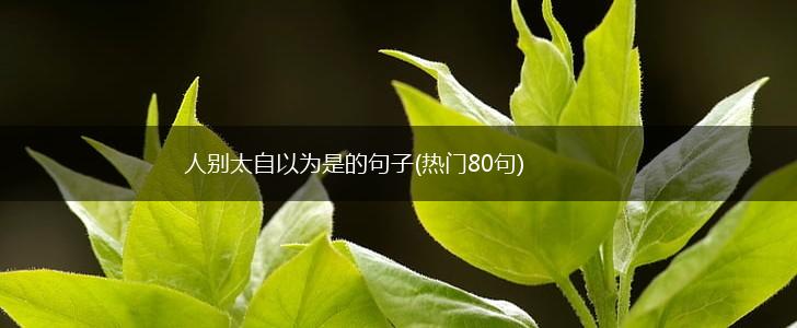 人别太自以为是的句子(热门80句),第1张