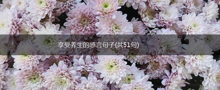 享受养生的感言句子(共51句),第1张