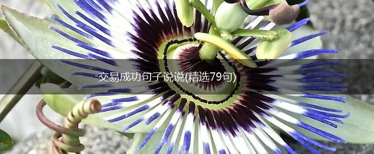 交易成功句子说说(精选79句),第1张