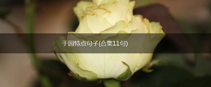 于园特点句子(合集11句),第1张