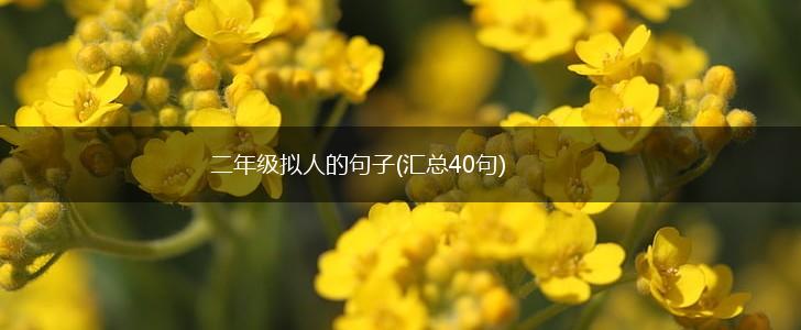 二年级拟人的句子(汇总40句),第1张