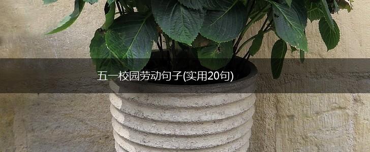 五一校园劳动句子(实用20句),第1张