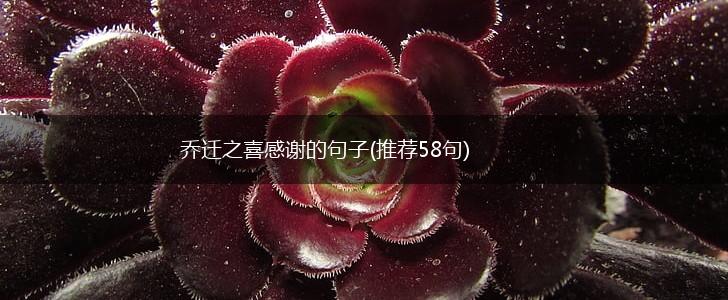 乔迁之喜感谢的句子(推荐58句),第1张