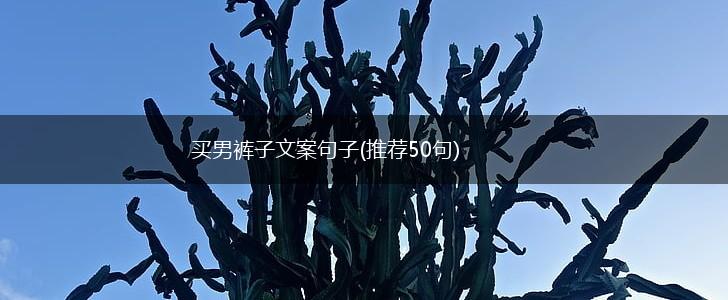 买男裤子文案句子(推荐50句),第1张