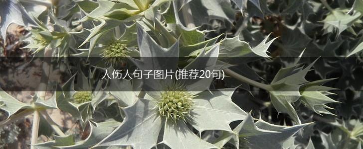 人伤人句子图片(推荐20句),第1张