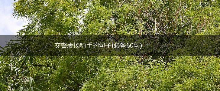 交警表扬骑手的句子(必备60句),第1张