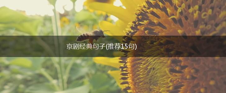 京剧经典句子(推荐15句),第1张