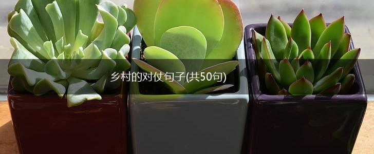 乡村的对仗句子(共50句),第1张