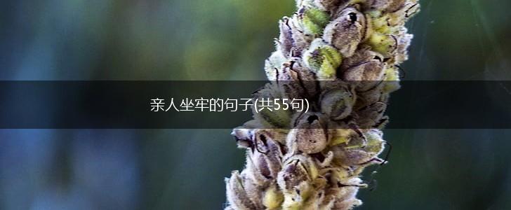 亲人坐牢的句子(共55句),第1张