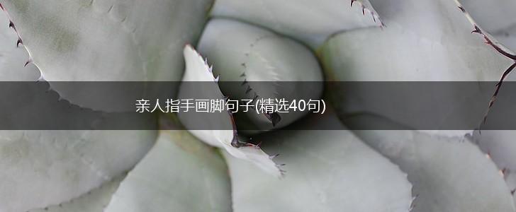 亲人指手画脚句子(精选40句),第1张