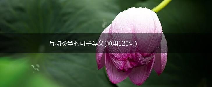 互动类型的句子英文(通用120句),第1张