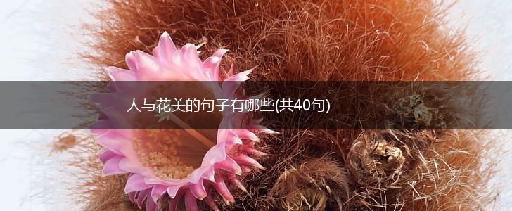 人与花美的句子有哪些(共40句),第1张