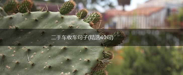 二手车收车句子(精选40句),第1张