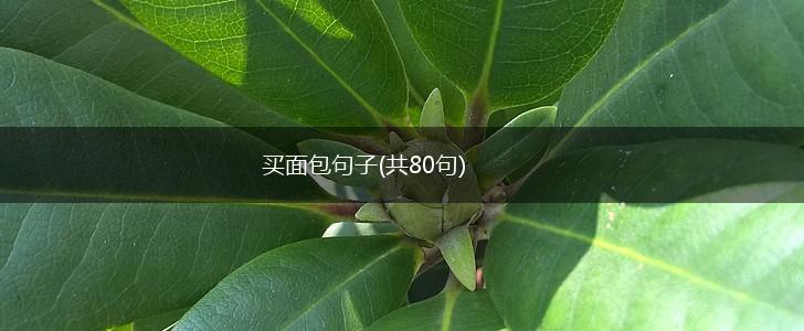 买面包句子(共80句),第1张