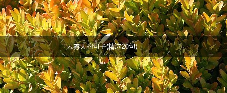 云雾天的句子(精选20句),第1张