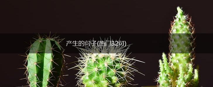 产生的句子(热门32句),第1张