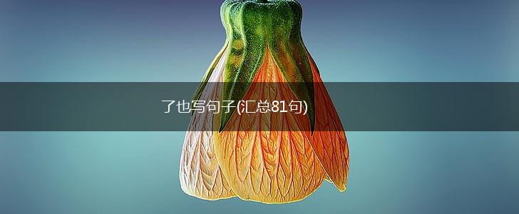 了也写句子(汇总81句),第1张
