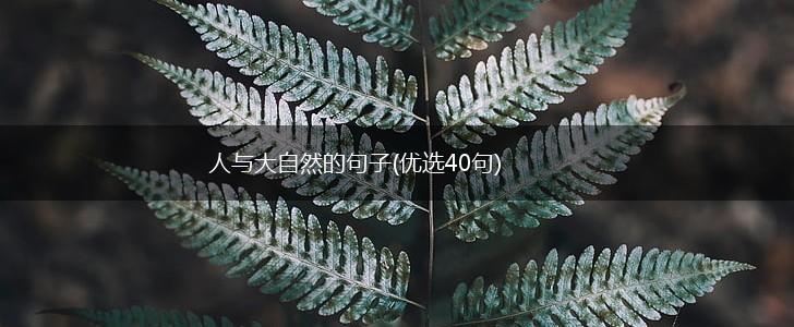 人与大自然的句子(优选40句),第1张