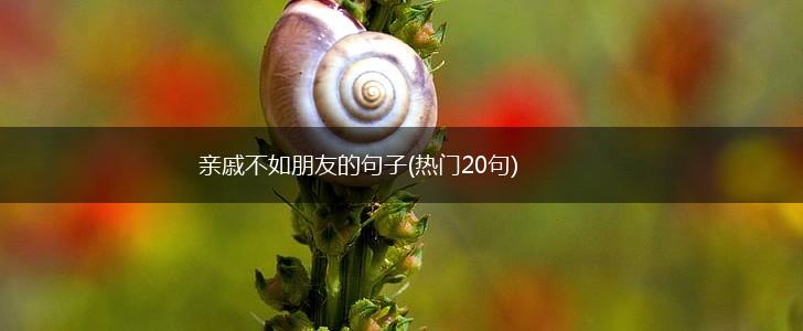 亲戚不如朋友的句子(热门20句),第1张