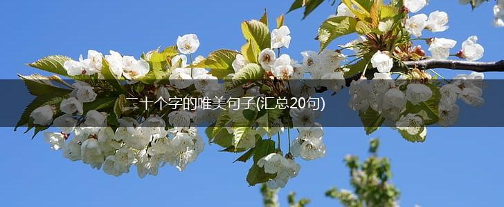 二十个字的唯美句子(汇总20句),第1张