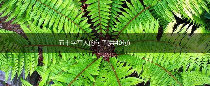 五十字写人的句子(共40句),第1张