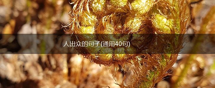 人出众的句子(通用40句),第1张