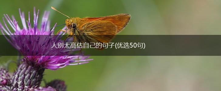 人别太高估自己的句子(优选50句),第1张