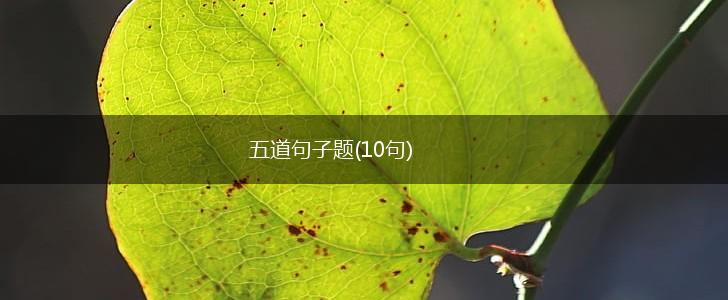 五道句子题(10句),第1张