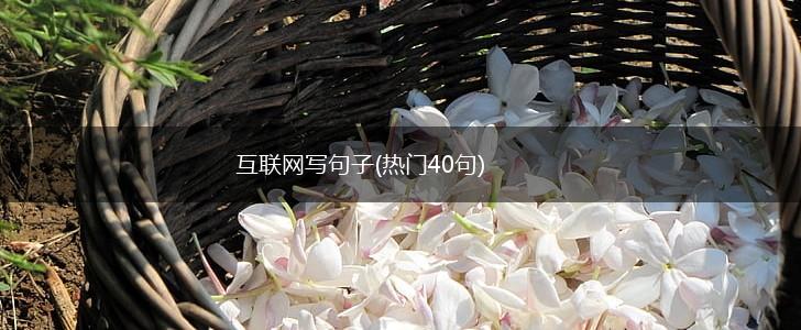 互联网写句子(热门40句),第1张