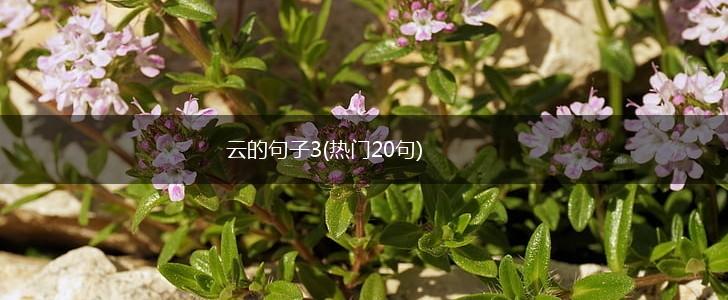 云的句子3(热门20句),第1张