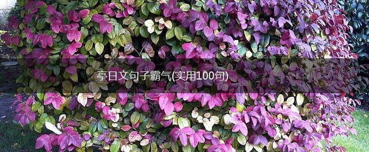 亭日文句子霸气(实用100句),第1张