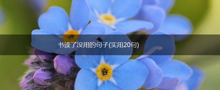 书读了没用的句子(实用20句),第1张
