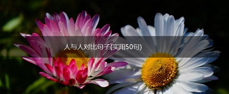 人与人对比句子(实用50句),第1张