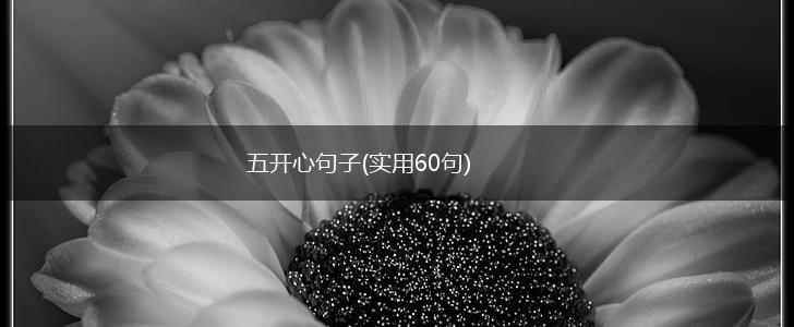 五开心句子(实用60句),第1张