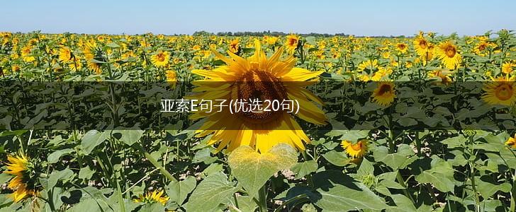 亚索E句子(优选20句),第1张