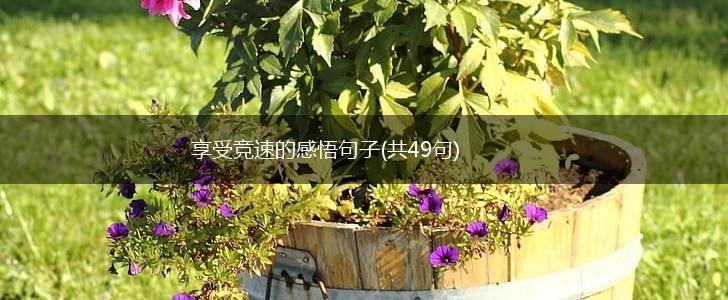 享受竞速的感悟句子(共49句),第1张