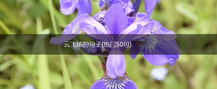 云飞扬的句子(热门50句),第1张