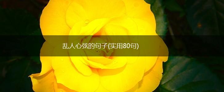 乱人心弦的句子(实用80句),第1张