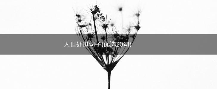 人世处世句子(优选20句),第1张